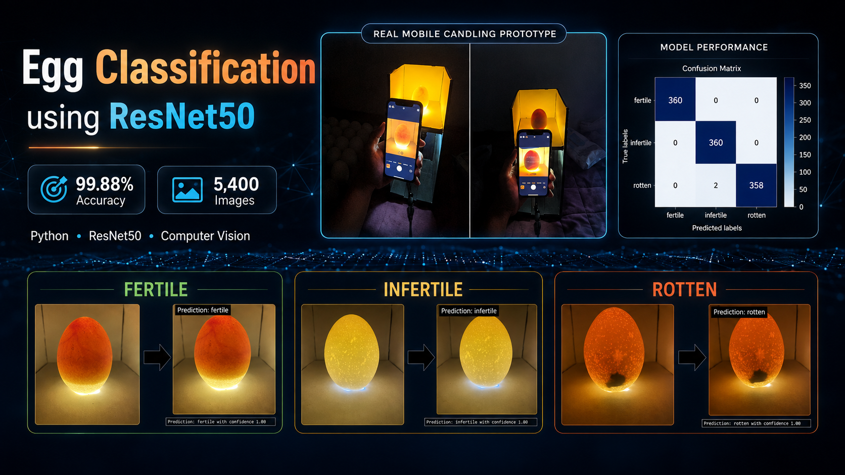 Egg Classification